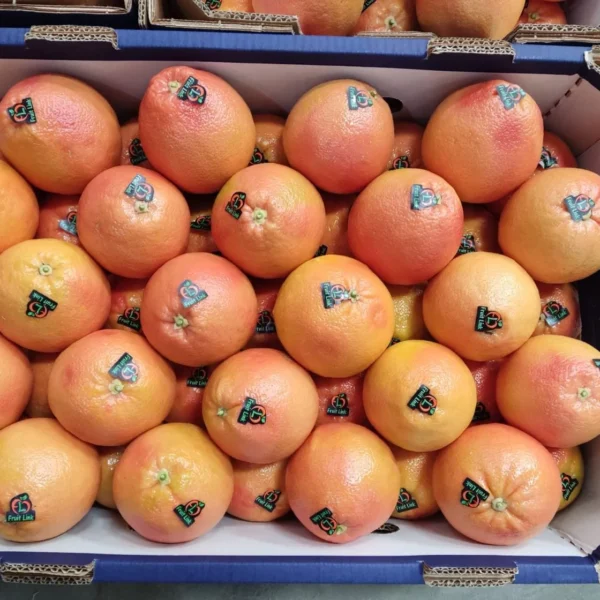 Grapefruit-StarRuby-FruitLink-Egypt-12-e1700065113340