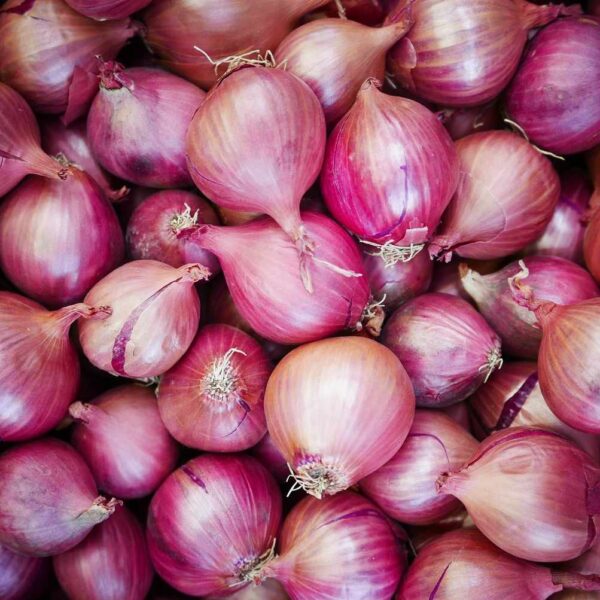 full-frame-shot-of-onions-in-market-stall-562386223-59b97e59845b340010f8d76e