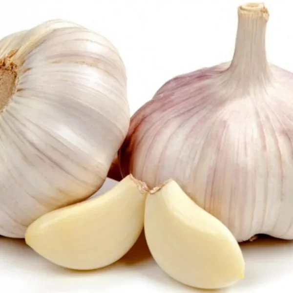 german-garlic_460x@2x1.jpg
