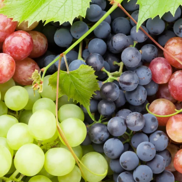 grapes_0.jpg