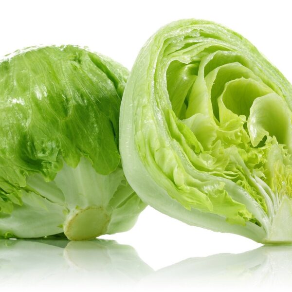 iceberg lettuce